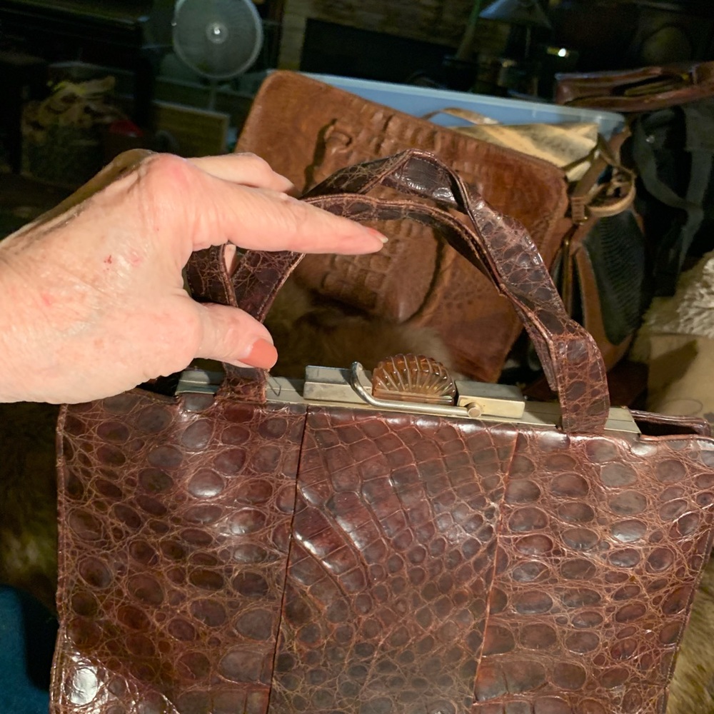Alligator bag clutch